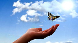 Schmetterling über einer offenen Hand und offenem Himmel