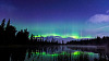 Aurora Borealis (Northern Lights) fotografie de Chris Moss la 30 august 2021, Trapper Creek, Alaska, SUA