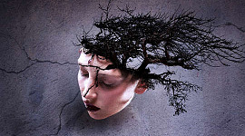 kvinnans huvud med en spricka och med träd som växer från baksidan av hennes huvud