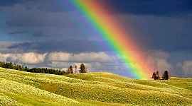 regenboog boven een veld