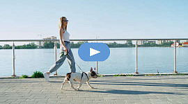 ผู้หญิงกำลังเดินสุนัขของเธอ