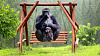 volwasse gorilla en baba gorilla sit op 'n swaai