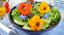 салат со съедобными цветами