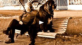 uomo e il suo cane, uno di fronte all'altro, seduti su una panchina del parco
