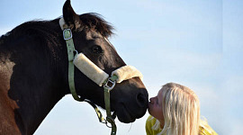 一個年輕的女孩親吻一匹馬的鼻子