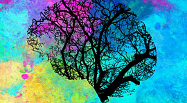 tree silhouette in the form of a brain