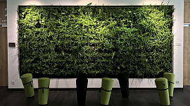 relaxation wall in a workplace