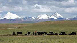 西藏永久凍土 3 28