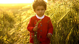 un niño parado en un prado sosteniendo flores de hierbas silvestres