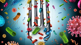 imagen de un tenedor y comida con microbios