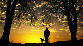 a, człowiek z psem na smyczy patrząc na zachód słońca