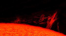 gambar pokok plasma pada matahari