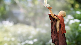 एक युवा बौद्ध भिक्षु एक सफेद कबूतर को आसमान में छोड़ रहा है