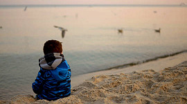 طفل يجلس على الشاطئ يراقب الطيور الطائرة بهدوء