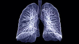 一对肺的黑白照片