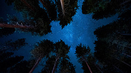 céu noturno no vale de Yosemite