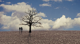 en mann og kvinne som holder hender i en karrig åker med et karrig uttørket tre