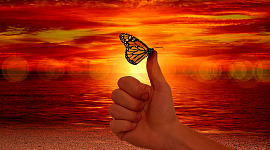 a hand with a butterfly sitting on the thumb in front of a vibrant sky