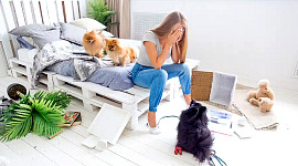 uma mulher sentada na ponta de uma cama com dois cachorros atrás dela e um cachorro a seus pés
