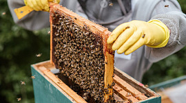 honing zuiverheid 6 4