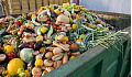 一個商業垃圾桶，裡面裝滿了丟棄的水果和蔬菜