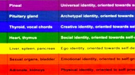 Chakra Psychology: Which of Your Chakras Are Dominant?