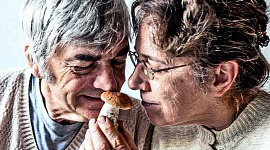 Una pareja mayor huele un hongo juntos