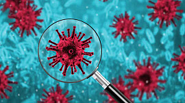 Hurtige screeningstests, der prioriterer hastighed over nøjagtighed, kan være nøglen til at afslutte pandemien